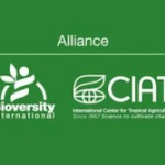 Alliance Bioversity & CIAT