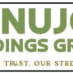 Lanujos Holdings Group Your Trust Our Strength